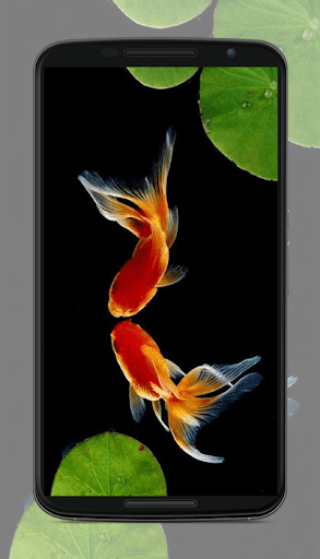 黑色壁纸 screenshot 4