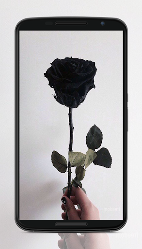 黑色壁纸 screenshot 5