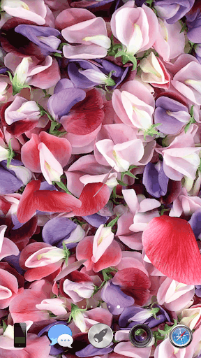 3D 花瓣 动态壁纸 screenshot 1