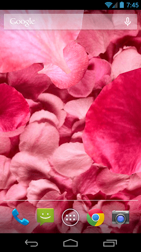 3D 花瓣 动态壁纸 screenshot 4