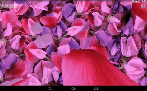 3D 花瓣 动态壁纸 screenshot 6