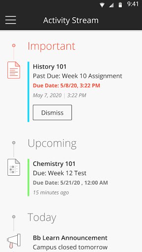 Blackboard screenshot 2