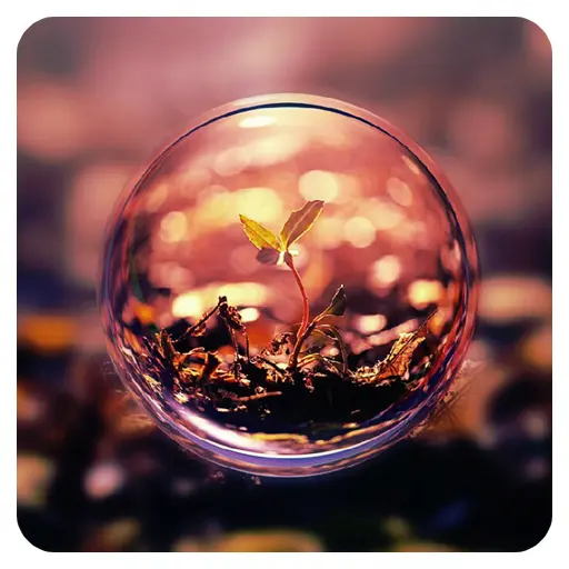 小小世界桌布-小生命大世界