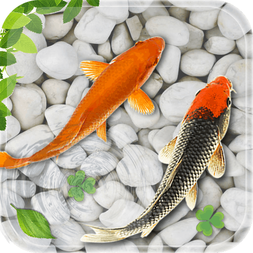 鱼 生活 墙纸 2018 水族馆 的锦鲤 背景