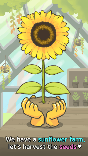 滚动鼠标-养仓鼠 screenshot 4