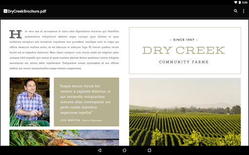 Google PDF 查看器 screenshot 3