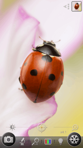 放大鏡 & 顯微鏡 screenshot 1