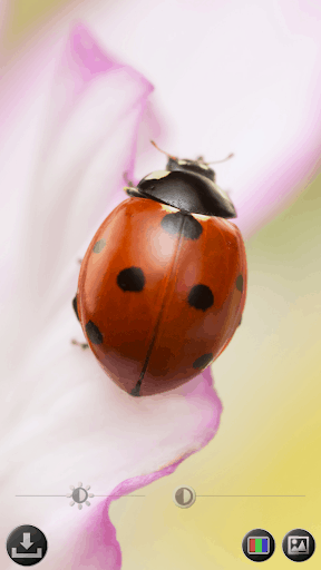 放大鏡 & 顯微鏡 screenshot 3