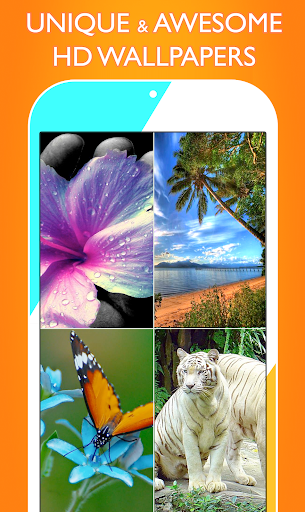 壁纸 screenshot 3