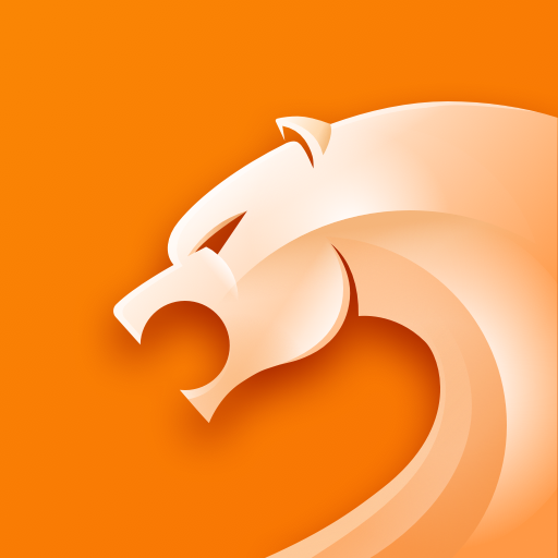 CM Browser 猎豹浏览器国际版 广告拦截 视频下载神器 ，隐私又安全的浏览器