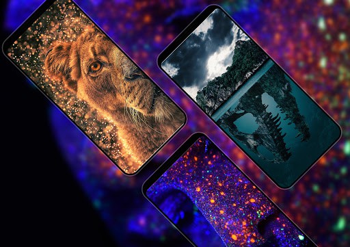 壁纸2019 screenshot 1