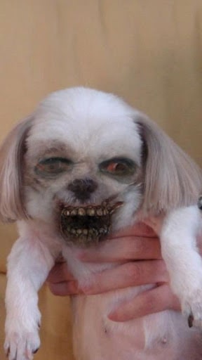 ZombieBooth screenshot 3