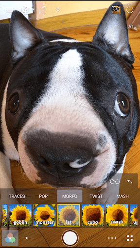 Cameringo Lite - 照片过滤器 screenshot 5