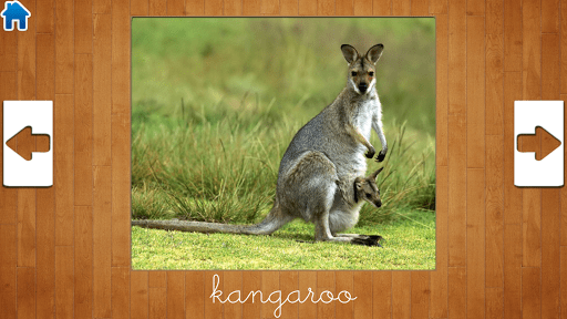 儿童教育游戏3 screenshot 4