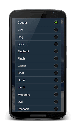動物的叫聲 screenshot 1