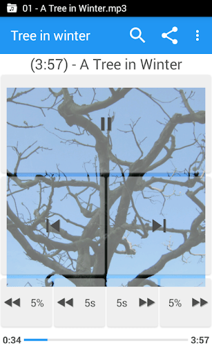 Music Folder Player 文件夹的音樂播放器 免费版 screenshot 4