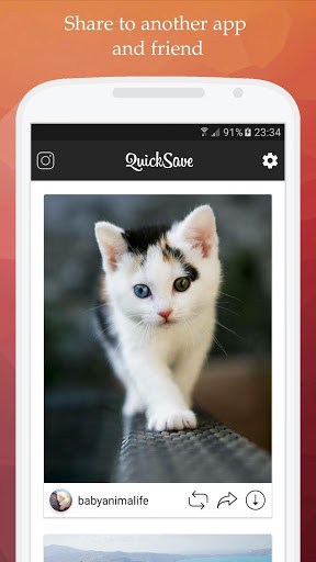 QuickSave – Instagram 下载 screenshot 2