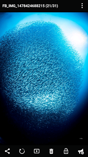 Safe Gallery (Media Lock, 媒体锁) screenshot 2