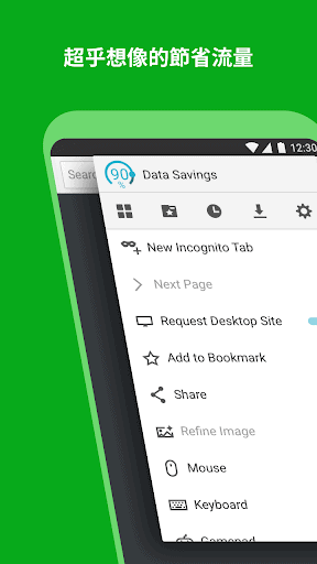 Puffin Web Browser screenshot 2