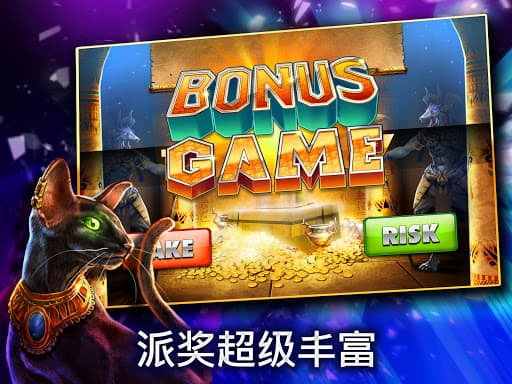 赌场游戏老虎机 screenshot 3