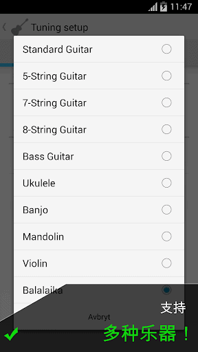 临吉他调谐器 Pro Guitar Tuner screenshot 2